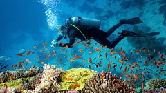 Podwodne tajemnice: 6 miejsc, do których nurkowie z całego świata marzą dotrzeć w 2026 roku