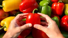 Która papryka jest zdrowsza: czerwona, żółta czy zielona? Eksperci rozstrzygają spór